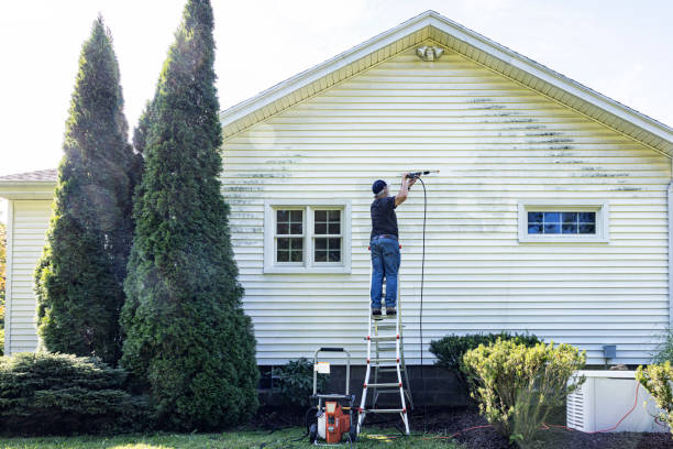 Best Exterior Home Cleaning  in Brackenridge, PA